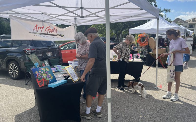 2025-08-23-ArtInThePark-BobPapeSharonCalbrecht-FundraisingCanvases_6360