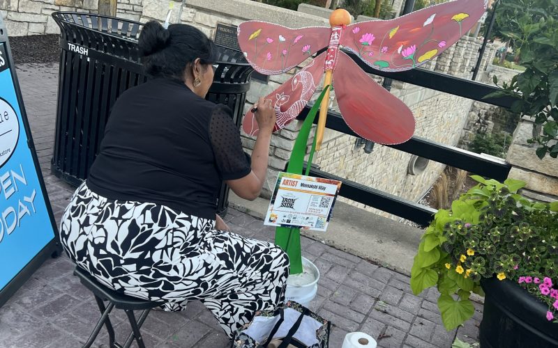 2025-08-23-ArtInThePark-Butterfly-MeenaVijay_6323